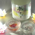 ASABIRAKI SAKE TASTING! Although we just had a sake tasting last week we were offered the opportunity to host Mr. Hirohisa Kikuchi from Asabiraki Brewery this Sunday and decided to...