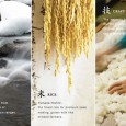 Mizbasho Sake Tasting MIZBASHO SAKE TASTING! Mizbasho is a very popular sake here at the shop. The Nagai brothers put out a really good product that is both consistent and tasty! This Friday...