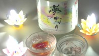 Asabiraki Sake Tasting! While many of us are still recovering from Thanksgiving (Nadine and I included), it is now officially December, which means a couple of important things to remember. First, Christmas is...