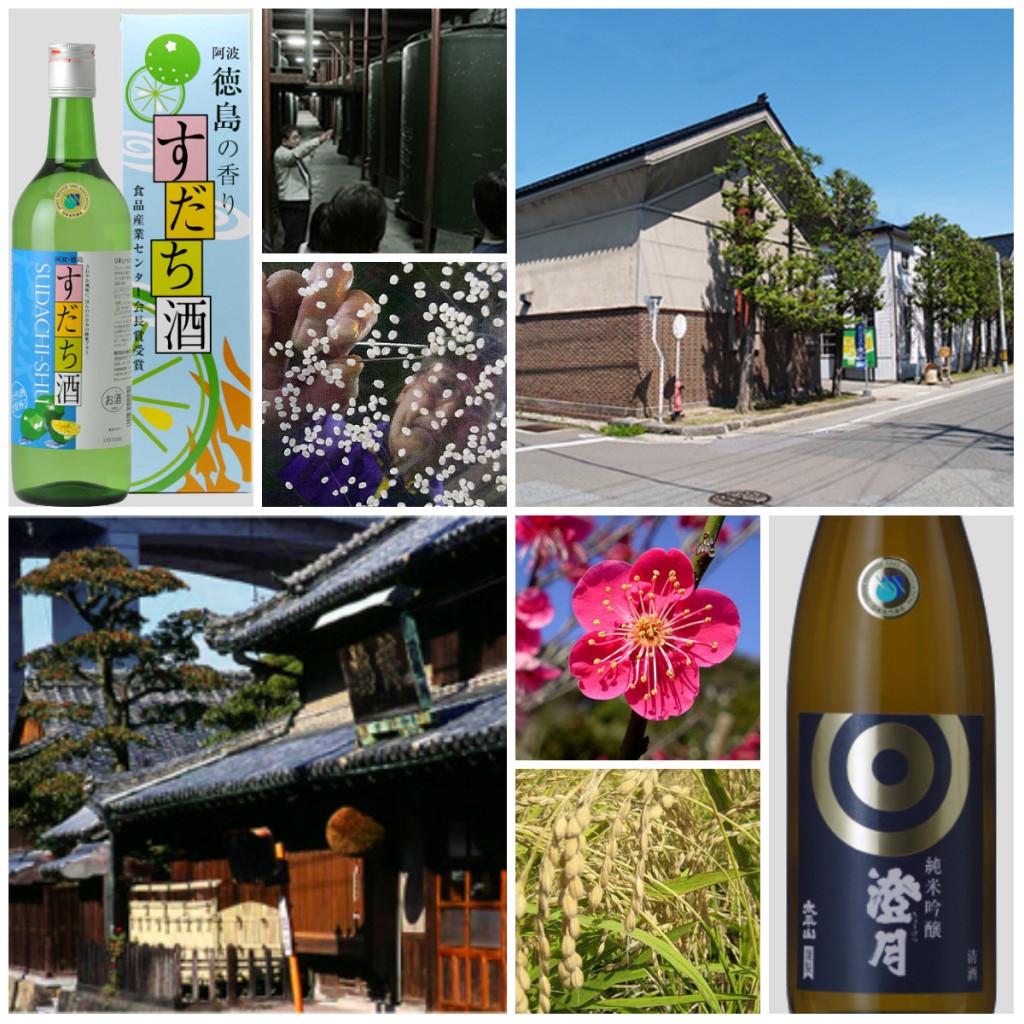 New Sake Tasting Banner